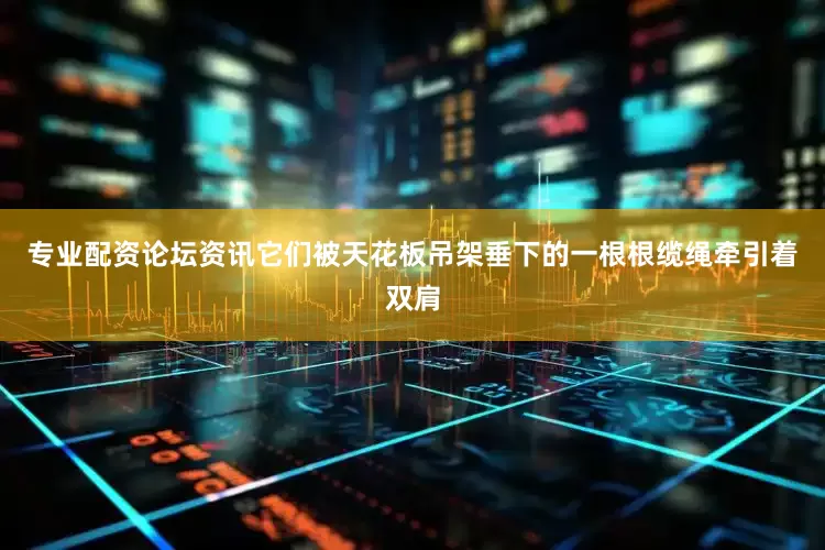 专业配资论坛资讯它们被天花板吊架垂下的一根根缆绳牵引着双肩