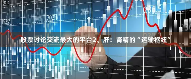 股票讨论交流最大的平台2、肝：肾精的“运输枢纽”