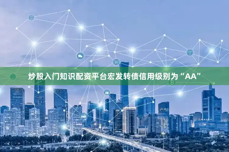 炒股入门知识配资平台宏发转债信用级别为“AA”